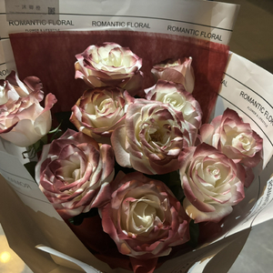 韩国一级无码片在线观看
