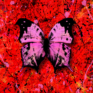 韩国一级无码片在线观看
